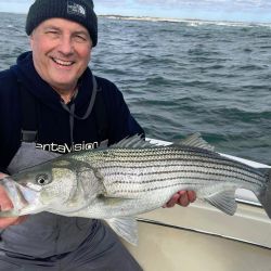 313384238 538451618292147 n