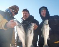 barnegat light fishing 1 20200411