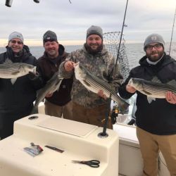 barnegat light fishing 10 20200411