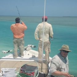 barnegat light fishing 110 20200411