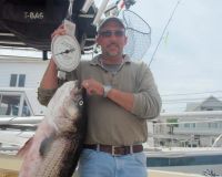 barnegat light fishing 156 20200411