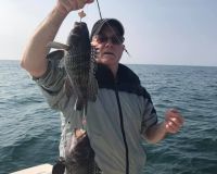 barnegat light fishing 16 20200411