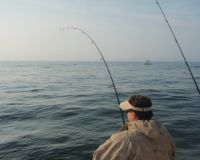 barnegat light fishing 16 20200411