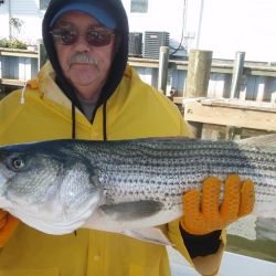 barnegat light fishing 161 20200411