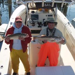 barnegat light fishing 163 20200411