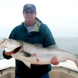 barnegat light fishing 164 20200411