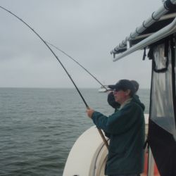 barnegat light fishing 168 20200411