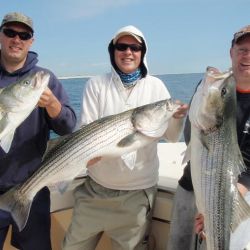 barnegat light fishing 17 20200411