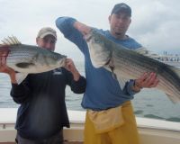 barnegat light fishing 174 20200411