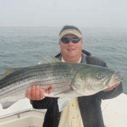 barnegat light fishing 185 20200411