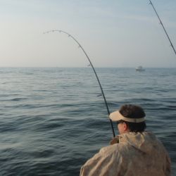 barnegat light fishing 19 20200411