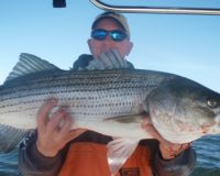 barnegat light fishing 195 20200411