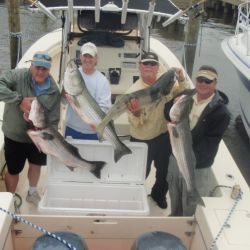 barnegat light fishing 197 20200411