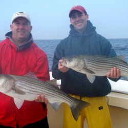 barnegat light fishing 198 20200411