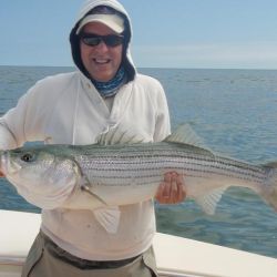 barnegat light fishing 21 20200411