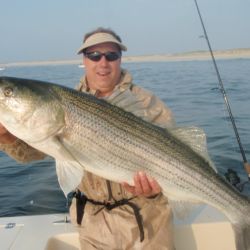 barnegat light fishing 22 20200411