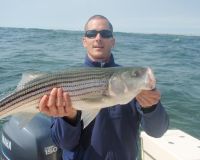 barnegat light fishing 29 20200411