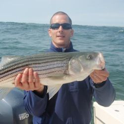 barnegat light fishing 29 20200411