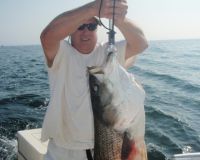 barnegat light fishing 31 20200411