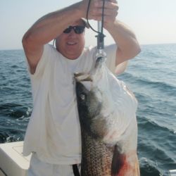 barnegat light fishing 31 20200411