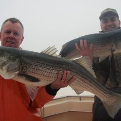 barnegat light fishing 33 20200411