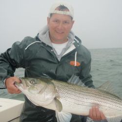 barnegat light fishing 36 20200411