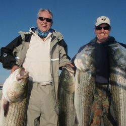 barnegat light fishing 45 20200411
