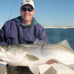 barnegat light fishing 46 20200411
