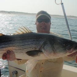 barnegat light fishing 5 20200411