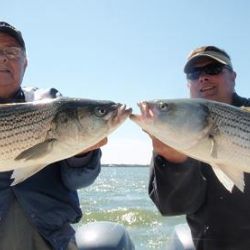 barnegat light fishing 51 20200411