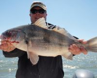 barnegat light fishing 52 20200411