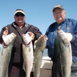 barnegat light fishing 54 20200411