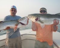 barnegat light fishing 58 20200411