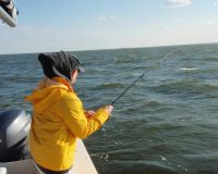 barnegat light fishing 61 20200411