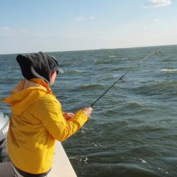 barnegat light fishing 61 20200411