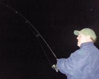 barnegat light fishing 64 20200411