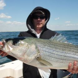 barnegat light fishing 76 20200411