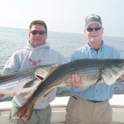 barnegat light fishing 79 20200411