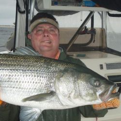 barnegat light fishing 81 20200411