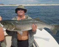 barnegat light fishing 83 20200411