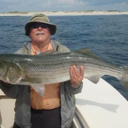 barnegat light fishing 83 20200411