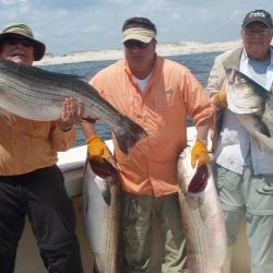 barnegat light fishing 84 20200411