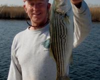 barnegat light fishing 87 20200411