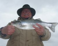 barnegat light fishing 9 20200411