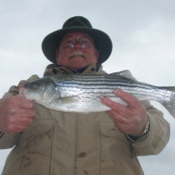 barnegat light fishing 9 20200411