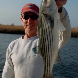 barnegat light fishing 91 20200411